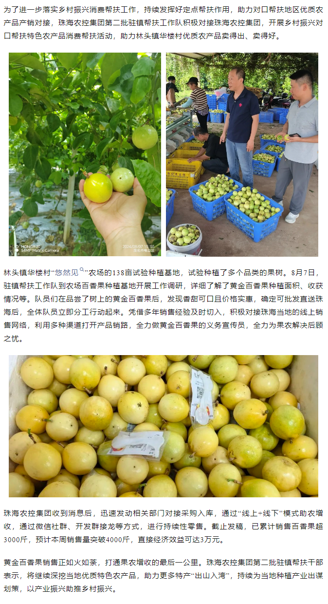 马博(中国)集团助力产销对接 对口帮扶果香飘百里.png